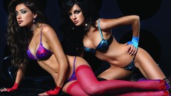 Woman lingerie brunettes nylon