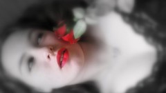 Woman lips Appa away