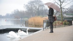 Woman London Umbrellas Swans Celebrity blondes taylor swift 