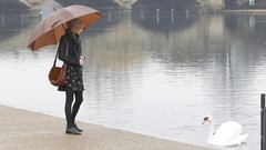 Woman London Umbrellas Swans Celebrity blondes taylor swift 