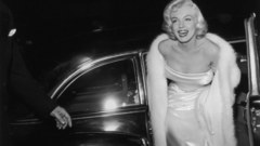 Woman Marilyn Monroe grayscale