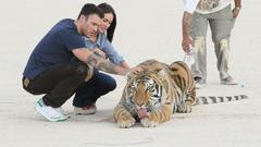 Woman Megan Fox Tigers