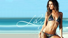 Woman models bikini Lily Aldridge