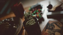 Woman models rasta Aleksandr Mavrin