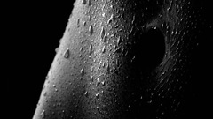 Woman monochrome navel water