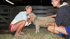 Woman New Zealand live Riley pornstars Cherie Anikka