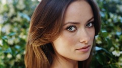 Woman Olivia Wilde faces Actress green eyes brunettes