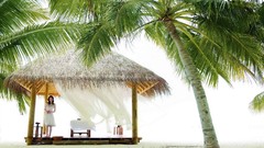 Woman palm trees bright