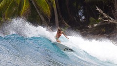 Woman palm trees waves surfers bikini