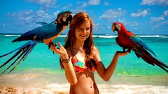 Woman Parrots Beaches redheads bikini Scarlet Macaws jailbait 