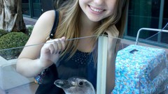 Woman Penguins Sammi Hanratty