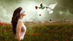 Woman Poppies roses fields overcast doves long hair blindfolds 