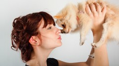 Woman Puppies Dogs susan coffey redheads