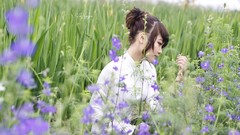 Woman purple flowers asians Viet Nam
