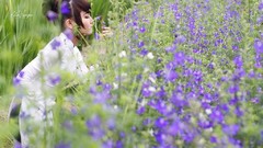 Woman purple flowers asians Viet Nam