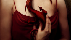 Woman red Dragons artwork
