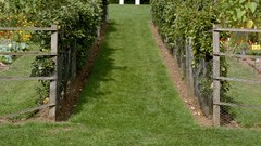 Woman red dress sienna miller