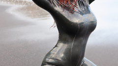 Woman redheads Bianca Beauchamp