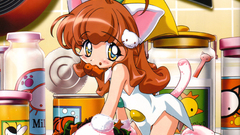 Woman room nekomimi animal