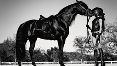 Woman rosie huntington-whiteley