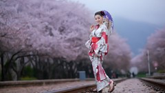 Woman sakura kimono asians models cherry blossoms Korean 