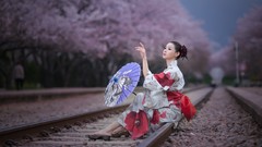 Woman sakura kimono asians parasol models cherry blossoms 