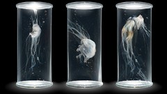 Woman Science baby science