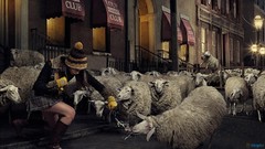 Woman sheep punching