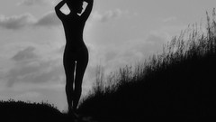 Woman silhouettes monochrome