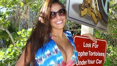 Woman smiling brunettes models forests cleavage boobs blue 