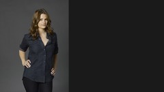 Woman stana katic Castle TV Series