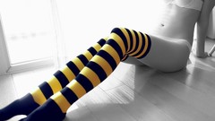 Woman stockings underwear striped legwear selective coloring 