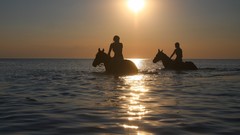 Woman sun horizon silhouettes