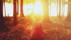 Woman sunlight forests