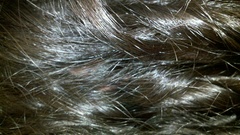 Woman Textures brunettes