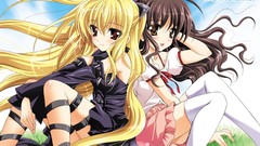 Woman to love ru