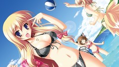 Woman touhou bikini animal
