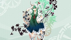 Woman touhou long hair