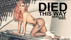 Woman Typography blondes tattoos on all fours fishnet lingerie