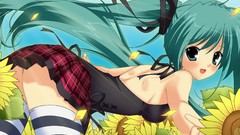 Woman vocaloid hatsune miku