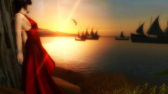 Woman water sunset Birds