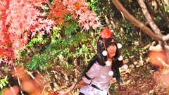 Woman wings hats asians brunettes bangs touhou shameimaru aya 