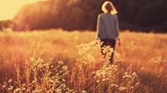 Women depth of field blonde field forest sunset wheat outdoors
