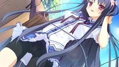 Women tights camel toe