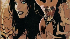 Wonder Woman dc comics Adam Hughes