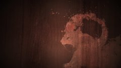 Wood Animals ubuntu stain