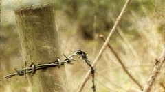Wood barbed wire grunge