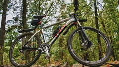 Wood Bicycles forests Trek