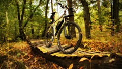 Wood Bicycles forests Trek