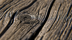 Wood close-up